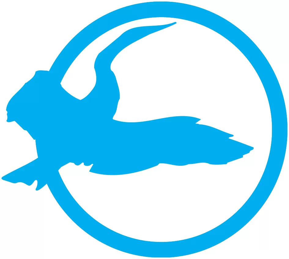 Симург Симург