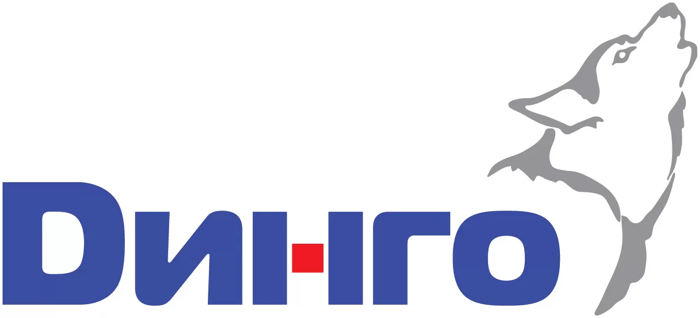 Динго Динго