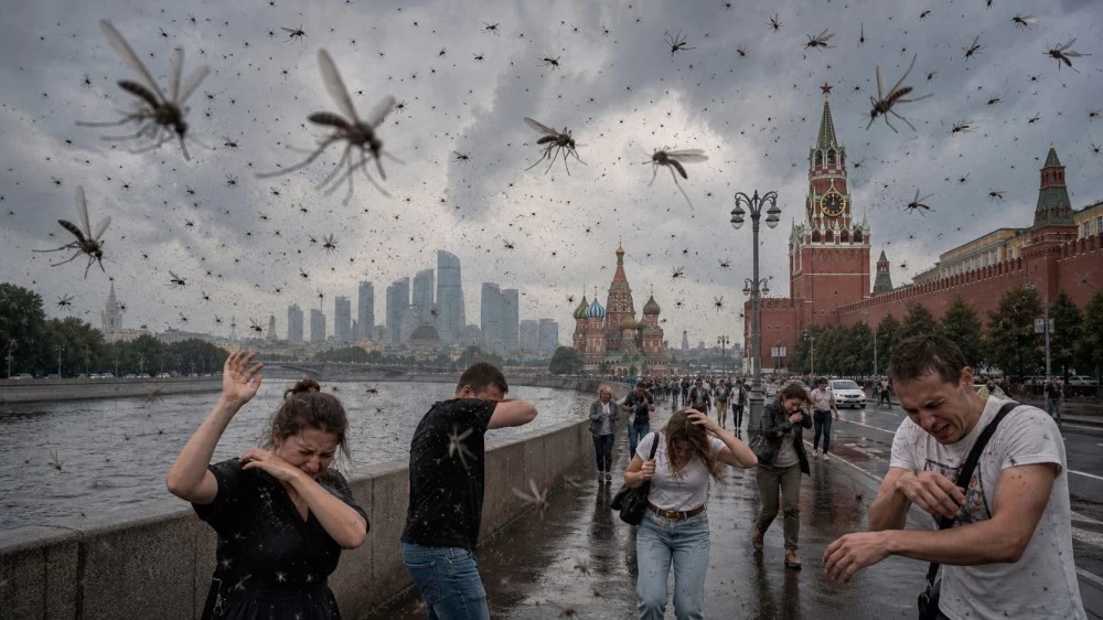 Аномальное нашествие комаров в 2026 году: что делать уже сейчас Аномальное нашествие комаров в 2026 году: что делать уже сейчас