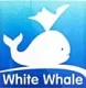 White whale