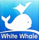 White whale