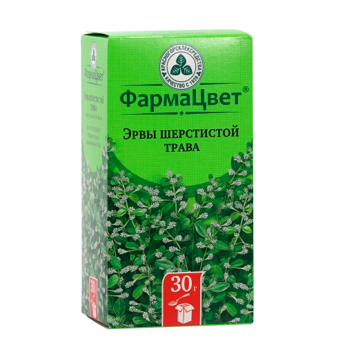 Эрвы шерстистой трава. Эрва (пол-пола) трава 30г красногорсклексредства. Настой травы эрвы. Трава шерстистой эрвы от чего. Эрвы шерстистой трава для чего.
